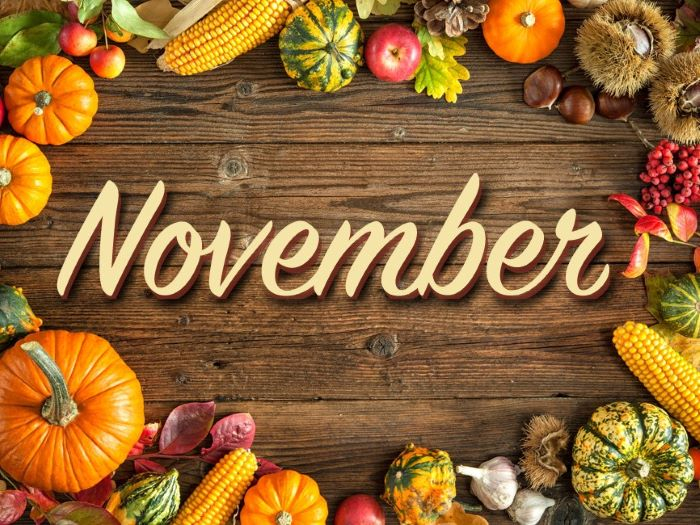 Second Life Marketplace - November Trivia